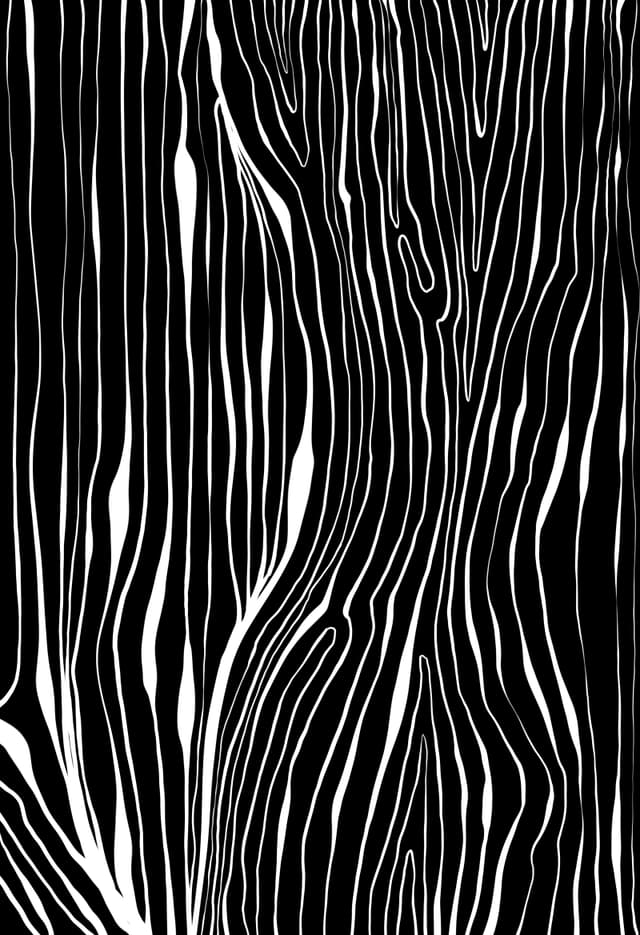 Wisdom 2026 Sabet 12" x 18" Giclée