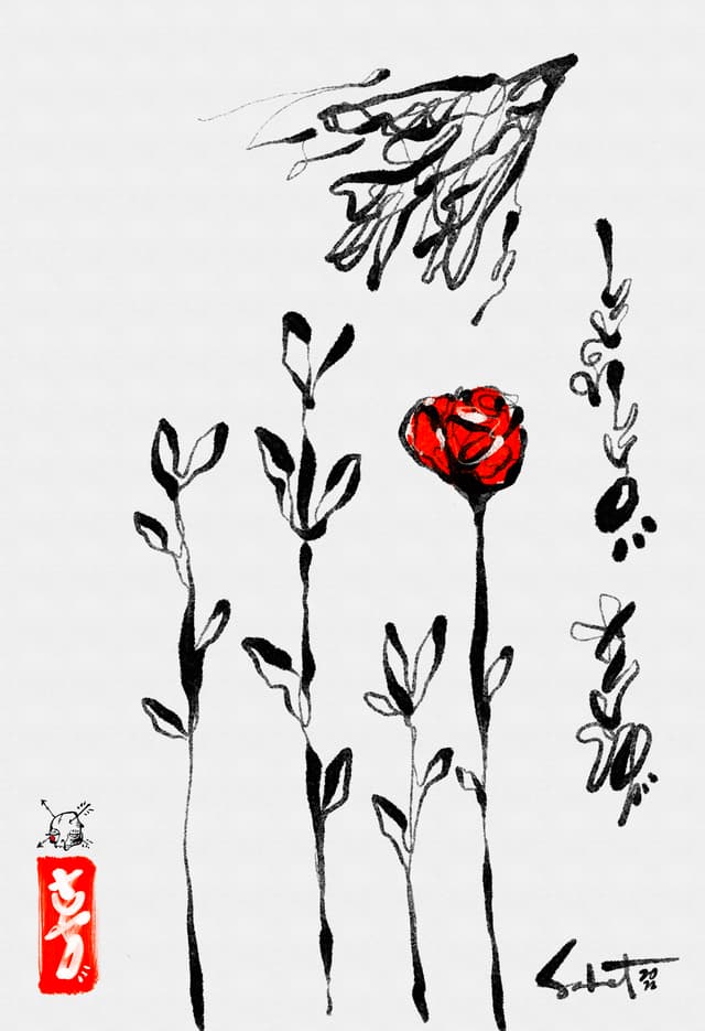 Shinshiro 2026 Sabet 12" x 18" Gallery Canvas