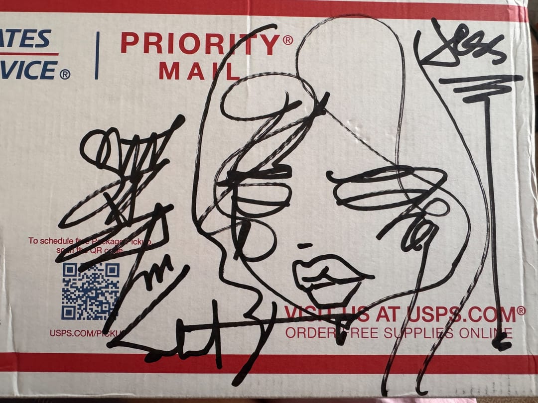 dreamlet 2026 Sabet Ink on USPS Box