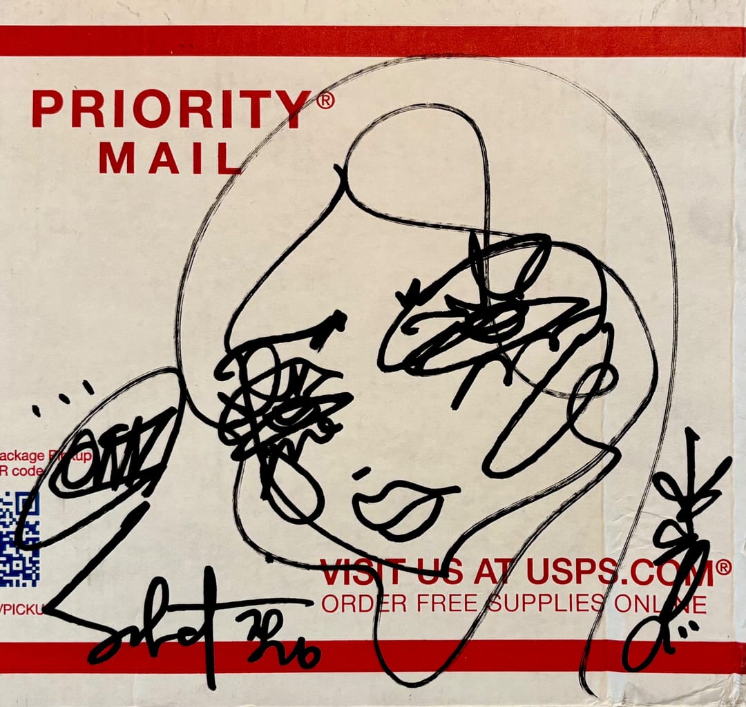 “The Wink” ~ black ink on corrugated fiberboard (USPS Box) 2026 Sabet