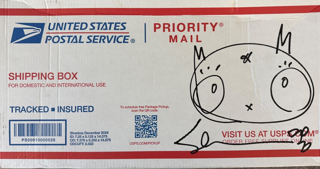Hand Painted USPS Shipping Box 2026 Sabet
