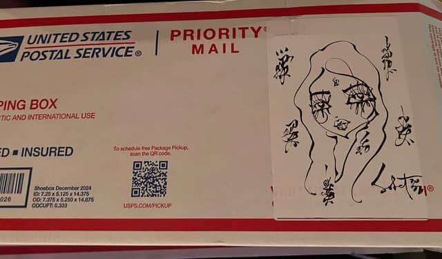 Untitled 2026 Sabet Sticker USPS Box