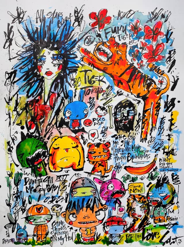 FukuFlux 2026 Sabet 20" x 30" Gallery Canvas